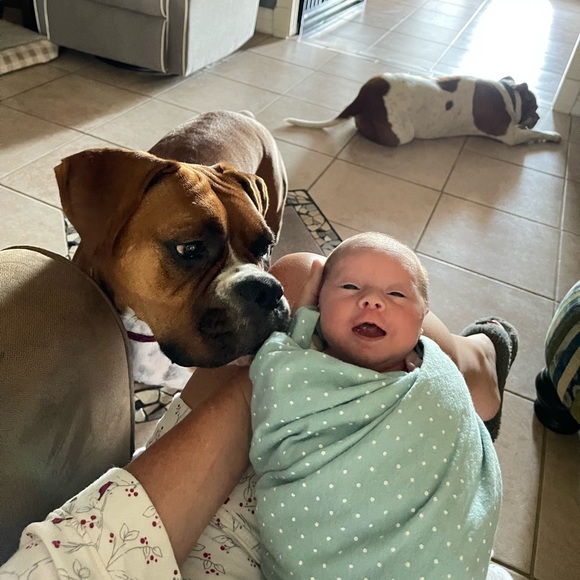 Meet your Posher, Camryn - Picture 5 of 5